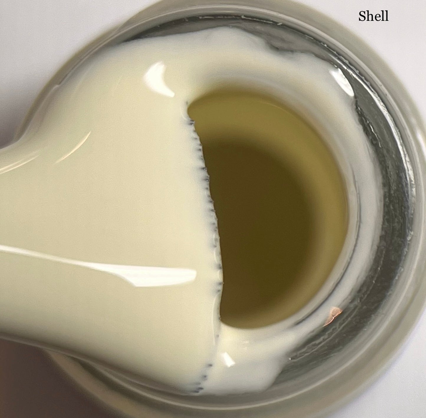 VSP Box shell - Lbeautynails