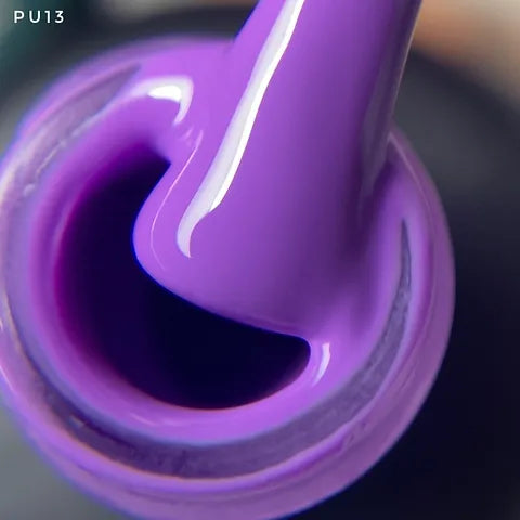 Passionate samba PU13